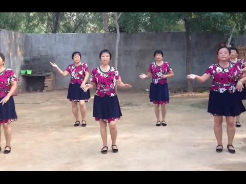 格式工厂<em>惠女广场舞一曲红尘</em>图片_格式工厂惠
