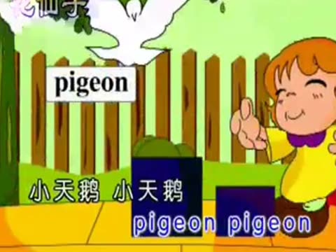 鸟的英文单词怎么拼