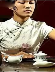 传统文化 茶艺 花艺 棋艺 舞艺-视频在线观看- 夭