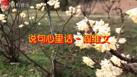 母亲的微笑合唱简谱